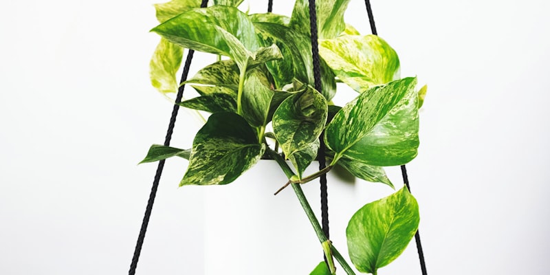 足球战术分析板展示阿森纳4-3-3阵型与跑动热图